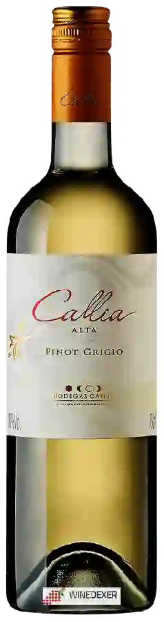 Winery Callia - Alta Pinot Grigio