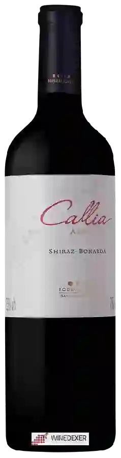 Winery Callia - Alta Shiraz - Bonarda