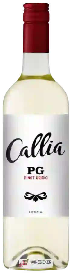 Winery Callia - Pinot Grigio