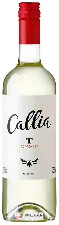 Winery Callia - Torrontés