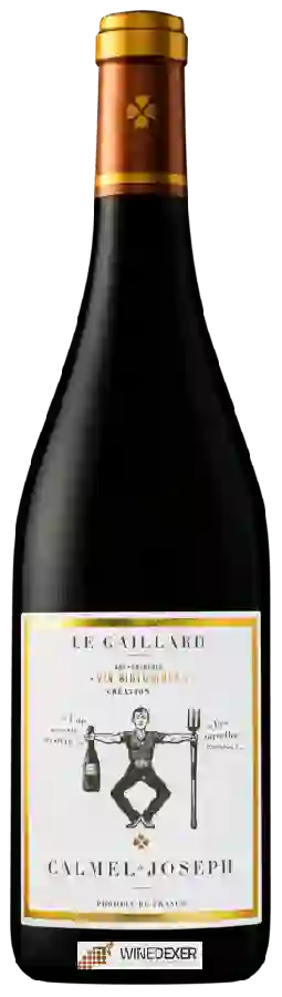 Winery Calmel & Joseph - Le Gaillard Faugères