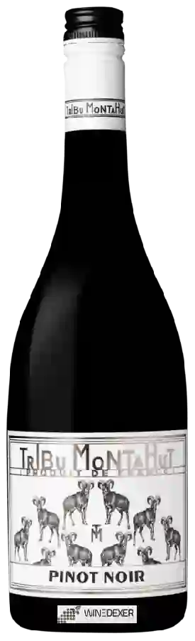 Winery Calmel & Joseph - Tribu Montahut Pinot Noir