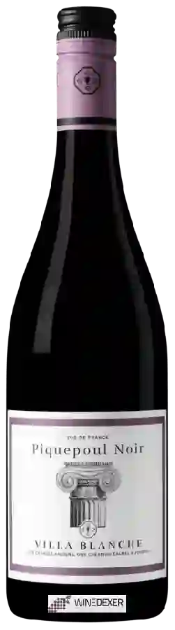 Winery Calmel & Joseph - Villa Blanche Piquepoul Noir