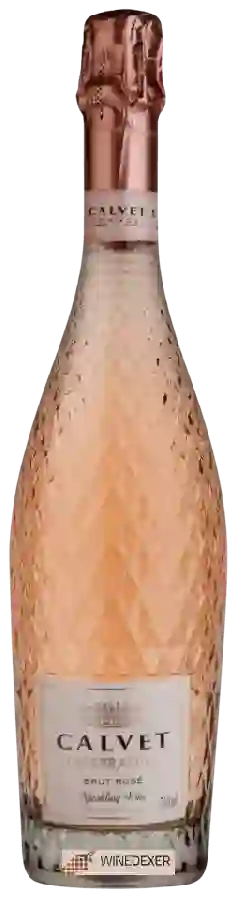 Winery Calvet - Celebration Brut Rosé Winery Calvet - Celebration Brut Rosé
