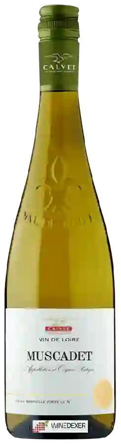 Winery Calvet - Muscadet Winery Calvet - Muscadet