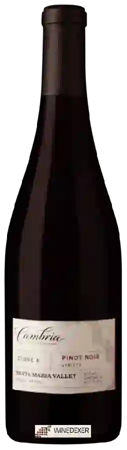 Winery Cambria - Pinot Noir Clone 4 Winery Cambria - Pinot Noir Clone 4