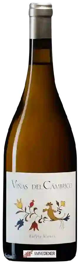 Winery Cámbrico - Rufete Blanca