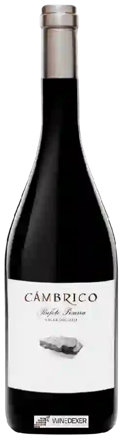 Winery Cámbrico - Rufete Pizarra