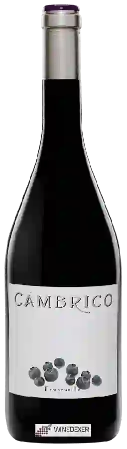 Winery Cámbrico - Tempranillo Winery Cámbrico - Tempranillo