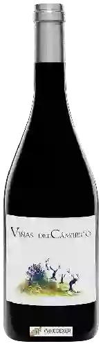 Winery Cámbrico - Viñas del Cámbrico