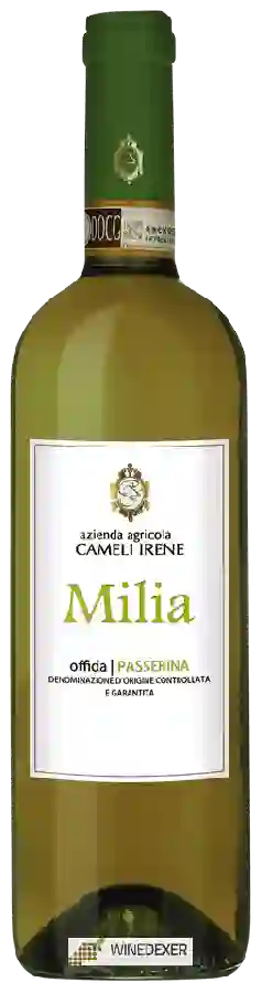 Winery Cameli Irene - Milia Passerina Winery Cameli Irene - Milia Passerina