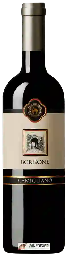 Winery Camigliano - Borgone Winery Camigliano - Borgone