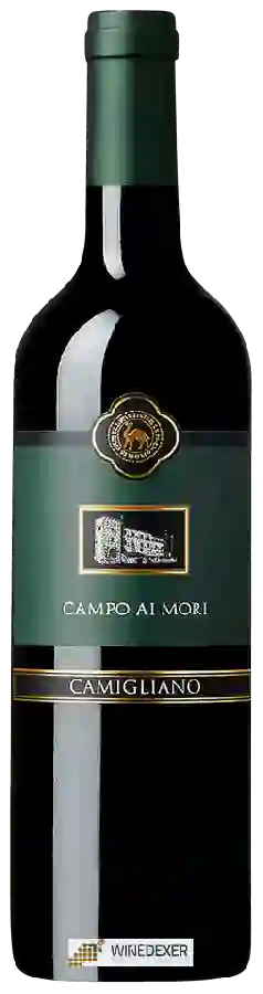 Winery Camigliano - Cabernet Sauvignon Sant'Antimo Campo Ai Mori