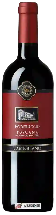 Winery Camigliano - Poderuccio