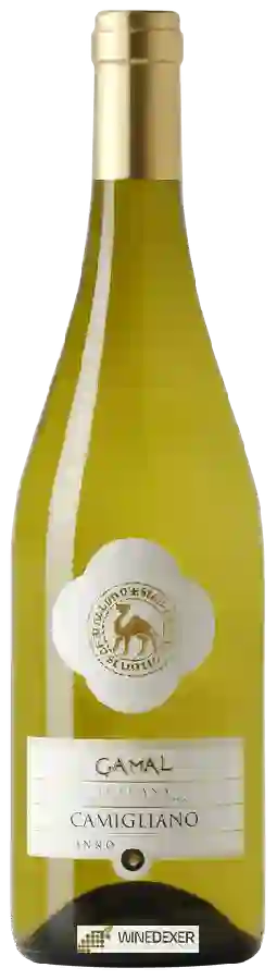 Winery Camigliano - Vermentino Gamal