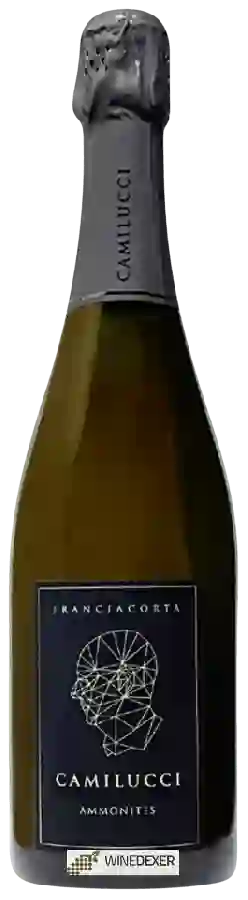 Winery Camilucci - Franciacorta Ammonites