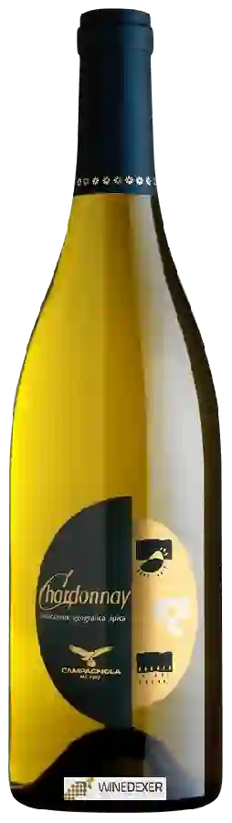 Winery Campagnola - Chardonnay