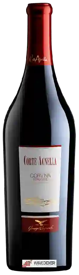 Winery Campagnola - Corvina Veronese Corte Agnella Winery Campagnola - Corvina Veronese Corte Agnella