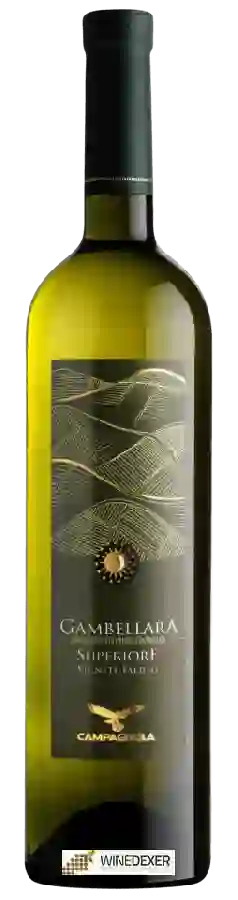 Winery Campagnola - Gambellara Superiore Vigneti Faldeo Winery Campagnola - Gambellara Superiore Vigneti Faldeo