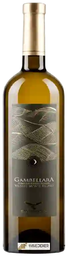 Winery Campagnola - Gambellara Vigneti Monte Faldeo Winery Campagnola - Gambellara Vigneti Monte Faldeo