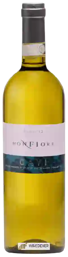 Winery Campagnola - Gavi Monfiore Winery Campagnola - Gavi Monfiore