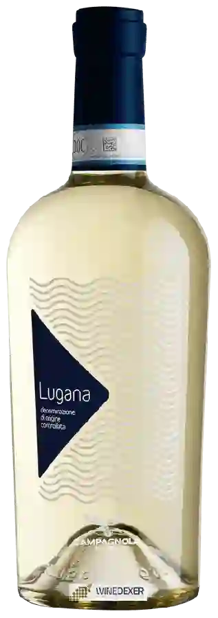 Winery Campagnola - Lugana Winery Campagnola - Lugana