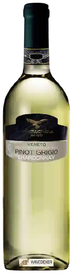 Winery Campagnola - Pinot Grigio - Chardonnay Winery Campagnola - Pinot Grigio - Chardonnay