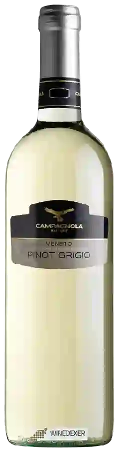 Winery Campagnola - Pinot Grigio Winery Campagnola - Pinot Grigio