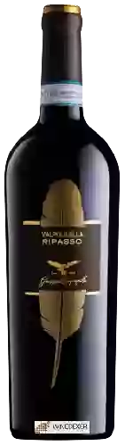 Winery Campagnola - Valpolicella Ripasso