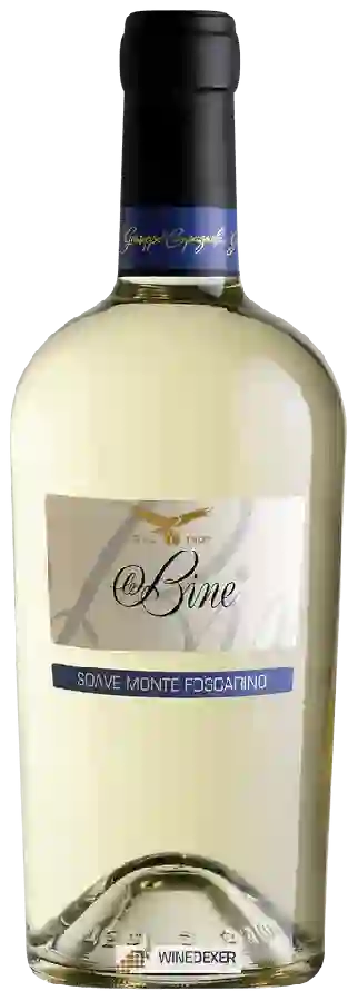 Winery Campagnola - Vigneti Monte Foscarino Soave Classico La Bine