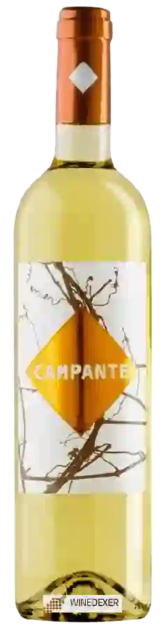 Winery Campante - Blanco