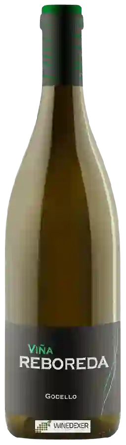 Winery Campante - Viña Reboreda Godello