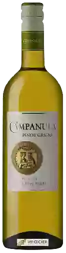 Winery Campanula - Pinot Grigio