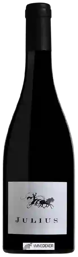 Château Camplazens - Julius