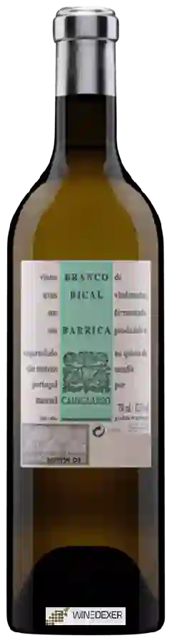 Winery Campolargo - Bical