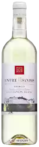Winery Campolargo - Entre II Santos Branco