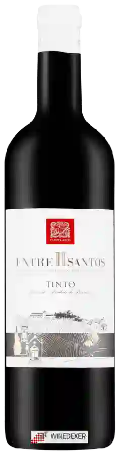 Winery Campolargo - Entre II Santos Tinto