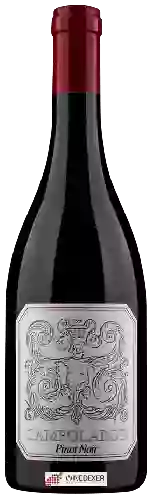 Winery Campolargo - Pinot Noir