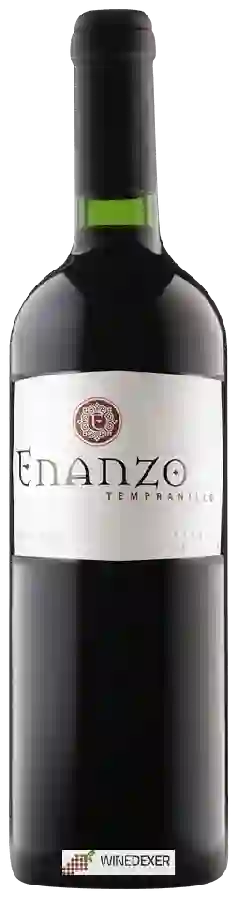 Winery Campos de Enanzo - Tempranillo