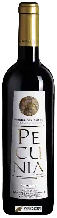 Winery Campos Goticos - Pecunia 12 Meses
