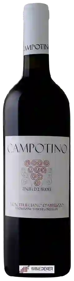Winery Campotino - Montepulciano d'Abruzzo