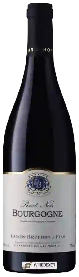 Winery Camus-Bruchon & Fils - Bourgogne Pinot Noir