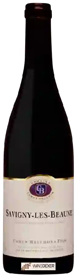 Winery Camus-Bruchon & Fils - Savigny-les-Beaune