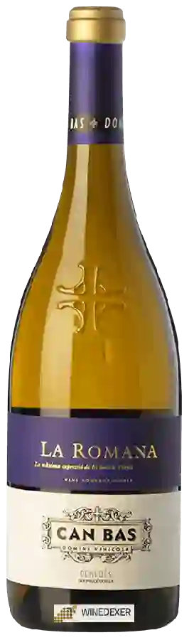 Winery Can Bas - La Romana