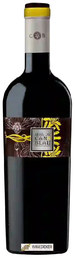 Winery Can Blau - Mas de Can Blau