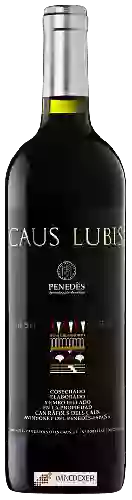 Winery Can Ràfols dels Caus - Caus Lubis