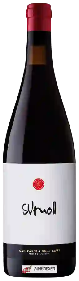 Winery Can Ràfols dels Caus - Sumoll Winery Can Ràfols dels Caus - Sumoll