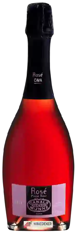 Winery Canals & Munné - Cava Reserva Pinot Noir Brut Rosé