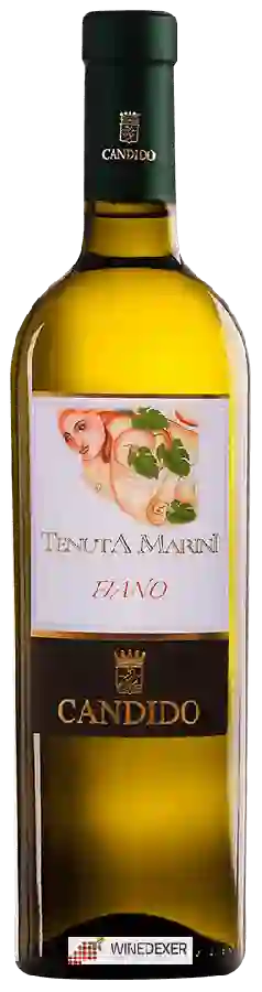 Winery Candido - Tenuta Marini Fiano