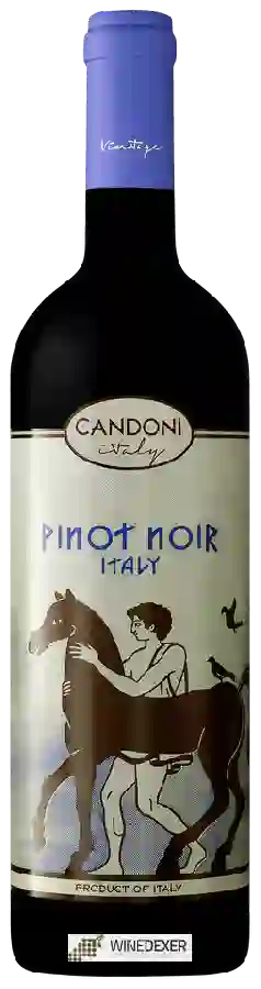 Winery Candoni - Pinot Noir Winery Candoni - Pinot Noir